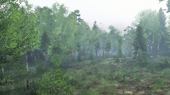Mixed Forest для Spin Tires 03.03.16